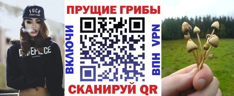 ОМГ ОМГ сайт  Семёнов  Псилоцибиновые грибы Magic Shrooms  купить наркотик 